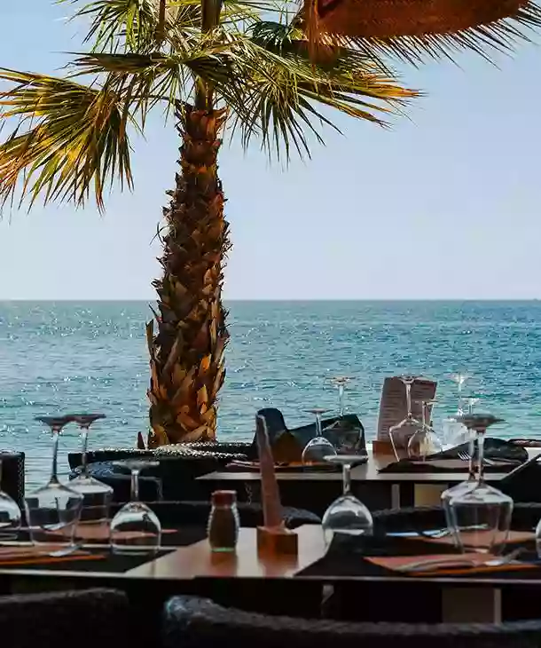 Le restaurant - Zanzibar - Restaurant Carry le rouet plage - Meilleur Restaurant Sausset les Pins
