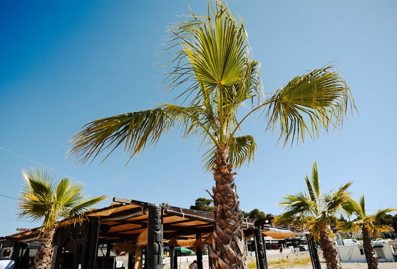 Zanzibar - Restaurant bord de mer Sausset les Pins - bien manger SAUSSET-LES-PINS